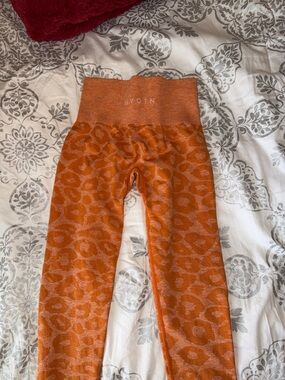 Nvgtn orange leopard leggings